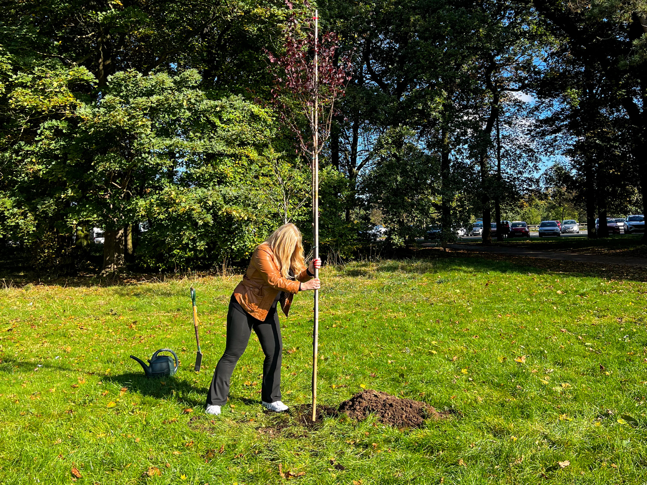 Julie Burniston planting her tree